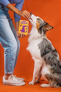 MedSnack Cães Frebo