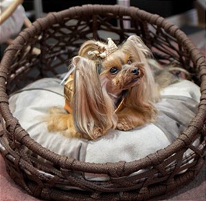 Cama Florença P - Premium