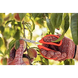 Tesoura Cozinha Cortar Frutas Tramontina 78311051