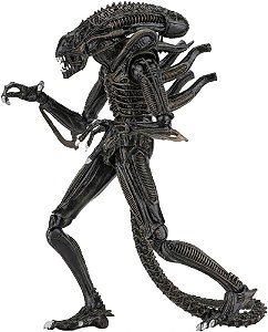 Action Figure Warrior Alien Neca - Alien Vs Predator