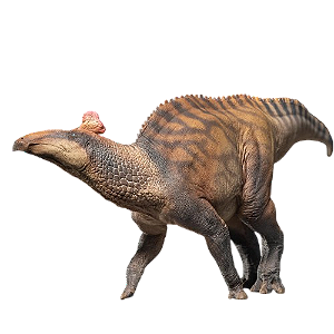 Figure Edmontosaurus Zabad The Edmontosaurus 080  - Original PNSO