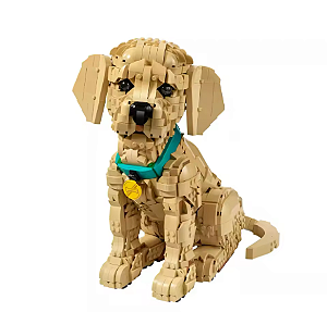 Golden Retriever - Blocos de montar