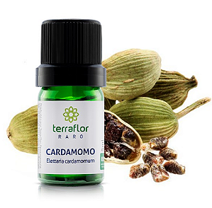 Óleo Essencial de Cardamomo 5ml - Terra Flor