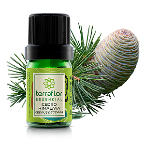 Óleo Essencial de Cedro do Himalaia 5ml - Terra Flor