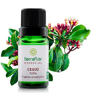 Óleo Essencial de Cravo Folhas 10ml - Terra Flor