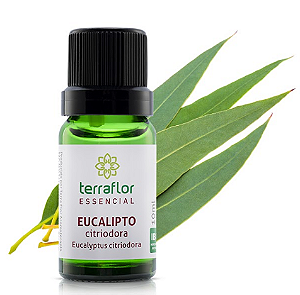 Óleo Essencial de Eucalipto Citriodora 10ml - Terra Flor