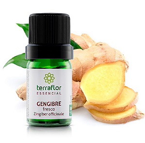 Óleo Essencial de Gengibre Fresco 5ml - Terra Flor