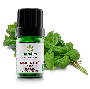 Óleo Essencial de Manjericão Doce QT Linalol 5ml - Terra Flor