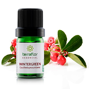 Óleo Essencial de Wintergreen 5ml - Terra Flor