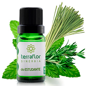 Sinergia Estudante 10ml - Terra Flor