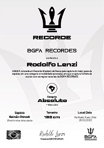Certificado Impresso