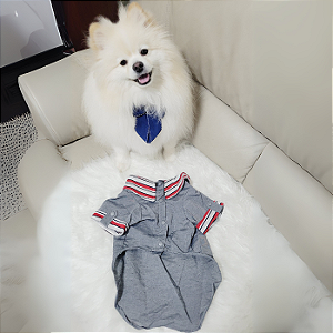 Camisa Social Tony OMD - Oh My Dog