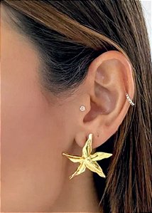 Brinco Estrela Folheado a Ouro