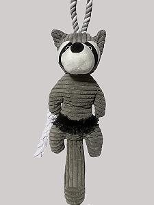 Bichos da Floresta - Guaxinim