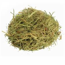 Melão de São Caetano - 100g