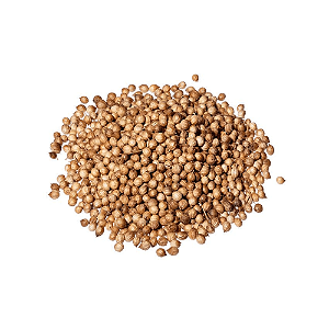Coentro Em Grãos - 100g