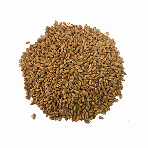 Trigo em Grãos - 100g