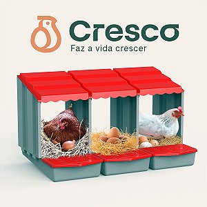 Ninho Ovos Galinha Galinheiro Poedeira Postura Aves Triplo