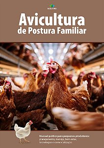 E-book Manual Avicultura Postura Guia Prático Pequeno Produtor