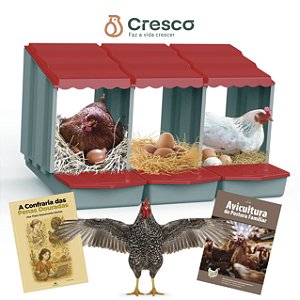 KIT: Ninho + 2 E-books