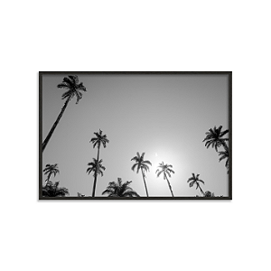 Coqueiros ao Sol (Rio de Janeiro, RJ)