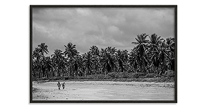 Mar de Coqueiros (Praia do Patacho, AL)