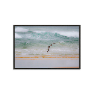 Voo do Pássaro (Florianópolis, SC)