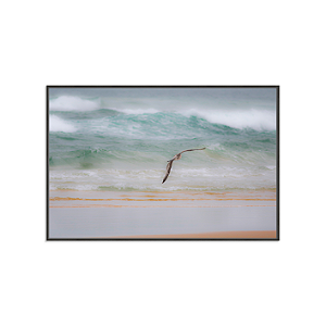 Voo do Pássaro (Florianópolis, SC)