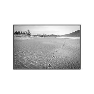 Praia da Ferrugem (Garopaba, SC)