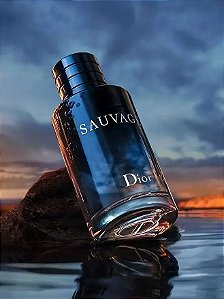 SAUVAGE TOILETTE EDT 200ML