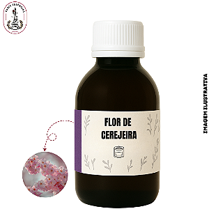 Essência para Vela Flor de Cerejeira - 100ml