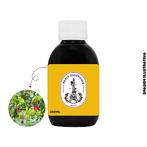 Essência OAK Flor de Cajueiro - 100ml