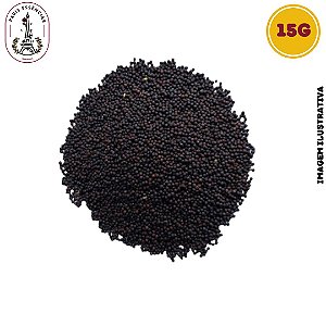 Semente de Colza Desidratada 15g