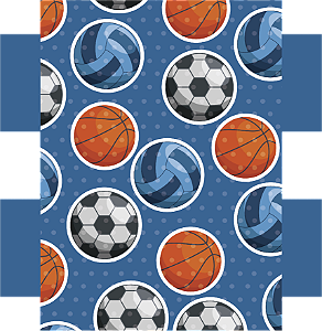 Estojo Box - Bolas Esportivas