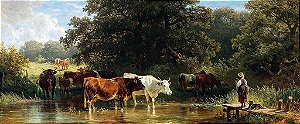 Vacas Perto do Bebedouro - Friedrich Voltz