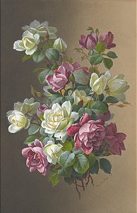 Rosas - Paul de Longpre