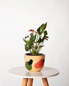 MINI ANTÚNIO CACHEPOT DECORADO EM BARRO