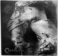 Gore: Consumed By Slow Decay - LP