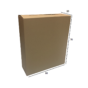 Caixa de Papelão para Transporte e Mudança N.07 60x20x70 cm Parda (Pacote c/ 5 unids)