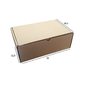 Caixa de Papelão para Envio S-03 31x20,5x11,5 cm Parda (Pacote c/ 30 unids)