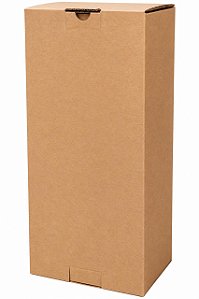 Caixa para Bebidas e Garrafas N.22 (2 Garrafas) 20x10x40 cm (Pacote c/ 20 unids)