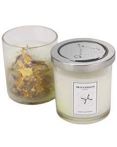 Vela Aromática - Peixes