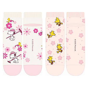 Kit 2 Pares Cano Curto - Tam 34 a 39
