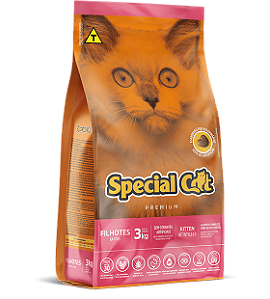 Special Cat - Filhotes