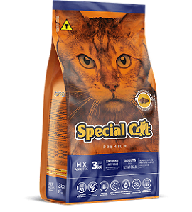 Special Cat - Mix - Adultos