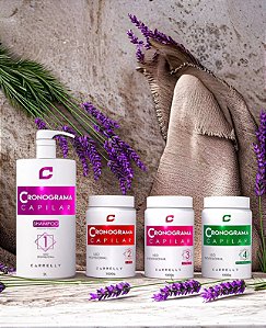 KIT CRONOGRAMA PROFISSIONAL