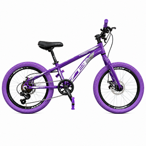 Bicicleta Aro 20 Zt3 Lilas