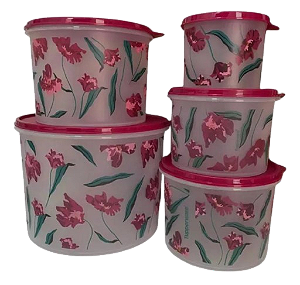 Tupperware Kit Caixa Mantimento Decorada Florescer 5 Peças