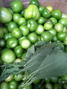 Tomatillo mexicano