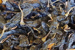 Pimenta Pasilla Seca Inteira 50g